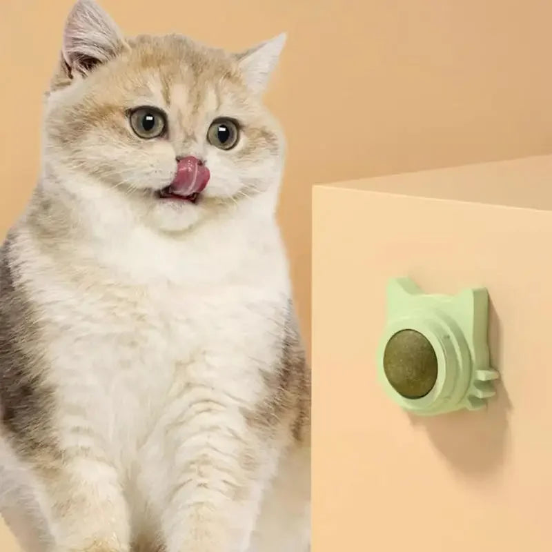 Catnip Funny Lickable Catnip Balls for Pets